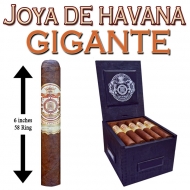 Joya De Havana Gigante
