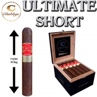 Chubbys Ultimate Short
